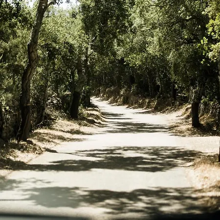 Lantgård Casteddu *