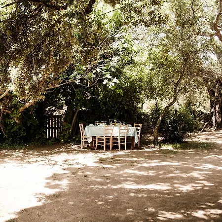 Farm stay Casteddu