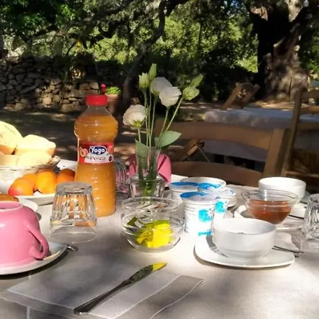 Casteddu Bauernhof *